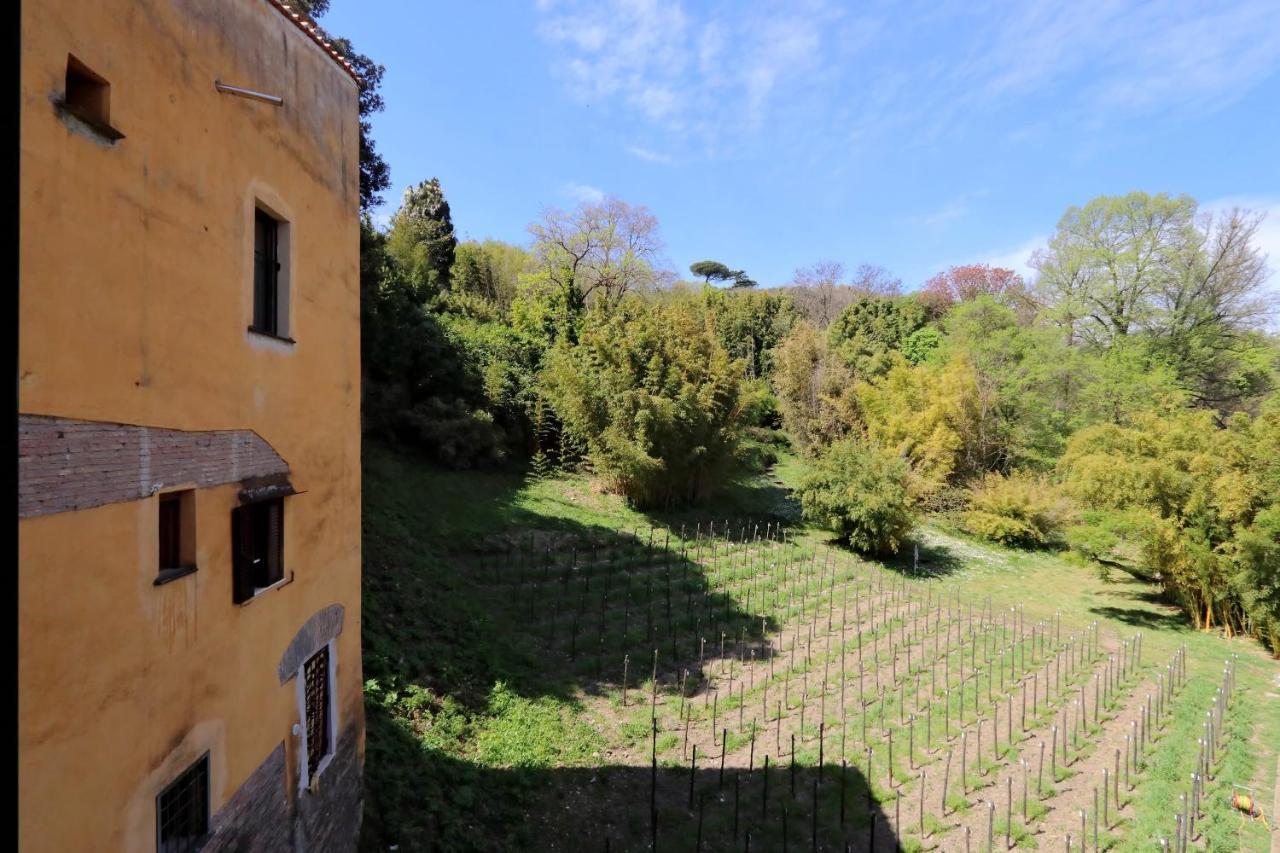 Il Mulino Di Trastevere - My Extra Home Rome Bagian luar foto